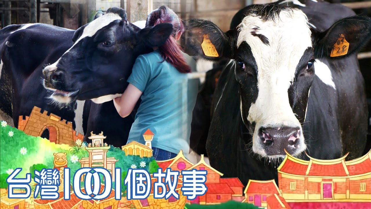 美眉酪農的世界一等牛乳 part4 台灣1001個故事｜白心儀