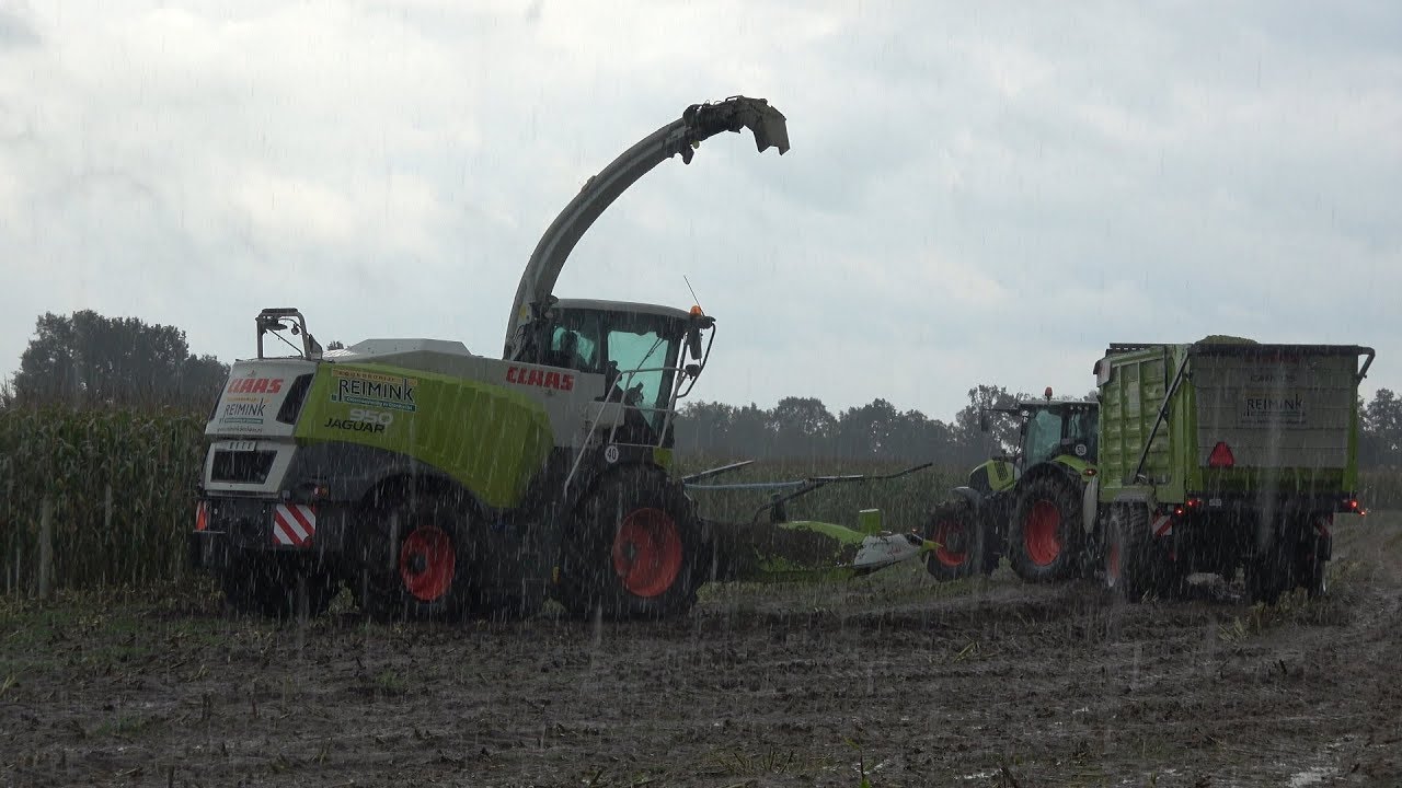 Mais hakselen in de stromende regen met Claas en Massey Ferguson - Loonbedrijf Reimink (2019)