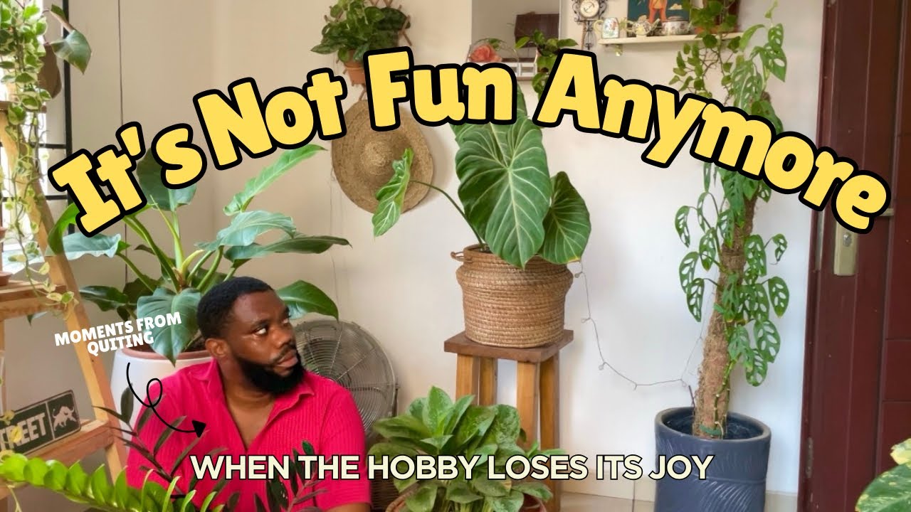 What to do When You Start Losing Interest in House Plants : Practical tips that Help!