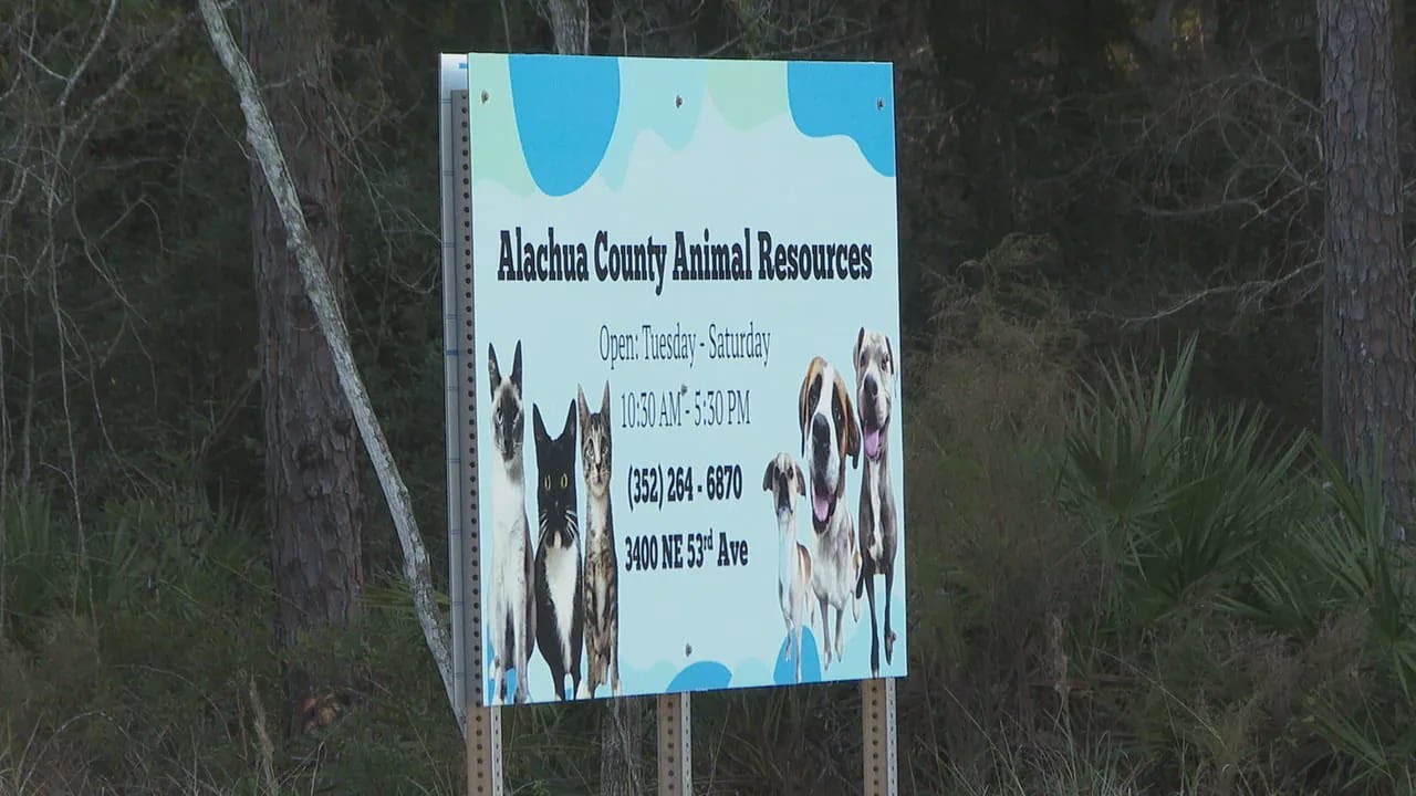 Residents raise concerns over overcrowding, euthanasia at Alachua County Animal Services