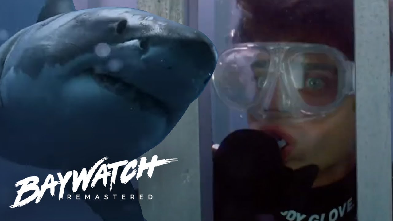SHARK ATTACK! MATT Dives Into A Shark Cage & Drifts Away In Shark Infested Waters | Baywatch