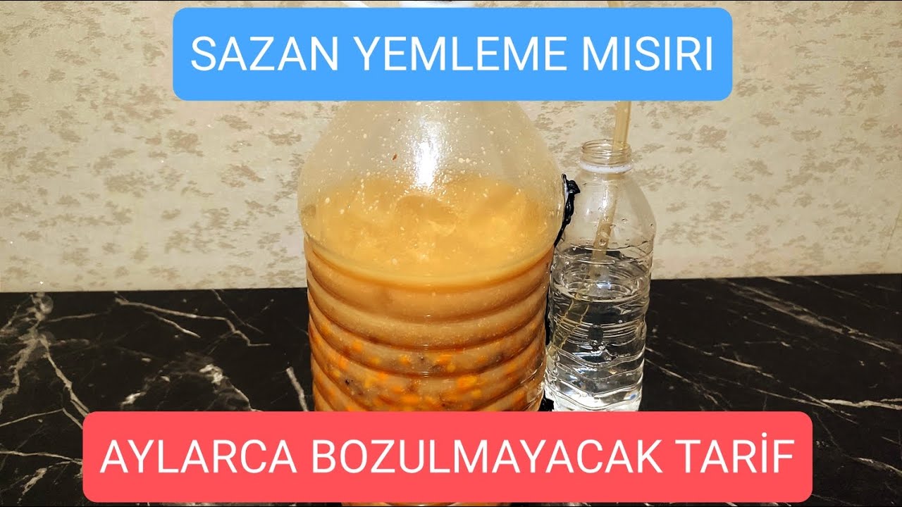 SAZAN AVINDA YEMLEME İÇİN MISIR NASIL HAZIRLANIR