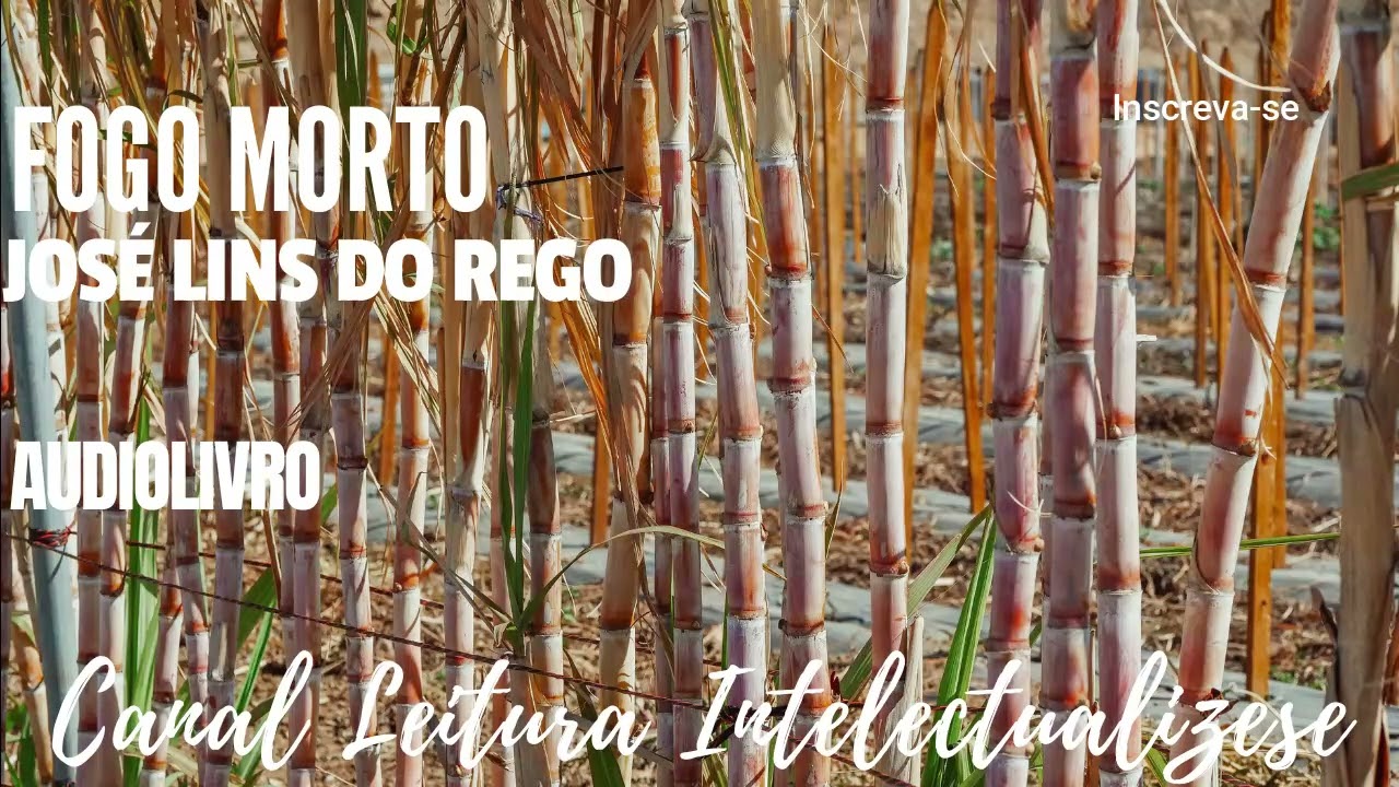 Fogo  Morto  -Jos&eacute; Lins Rego- Completo #audiolivro