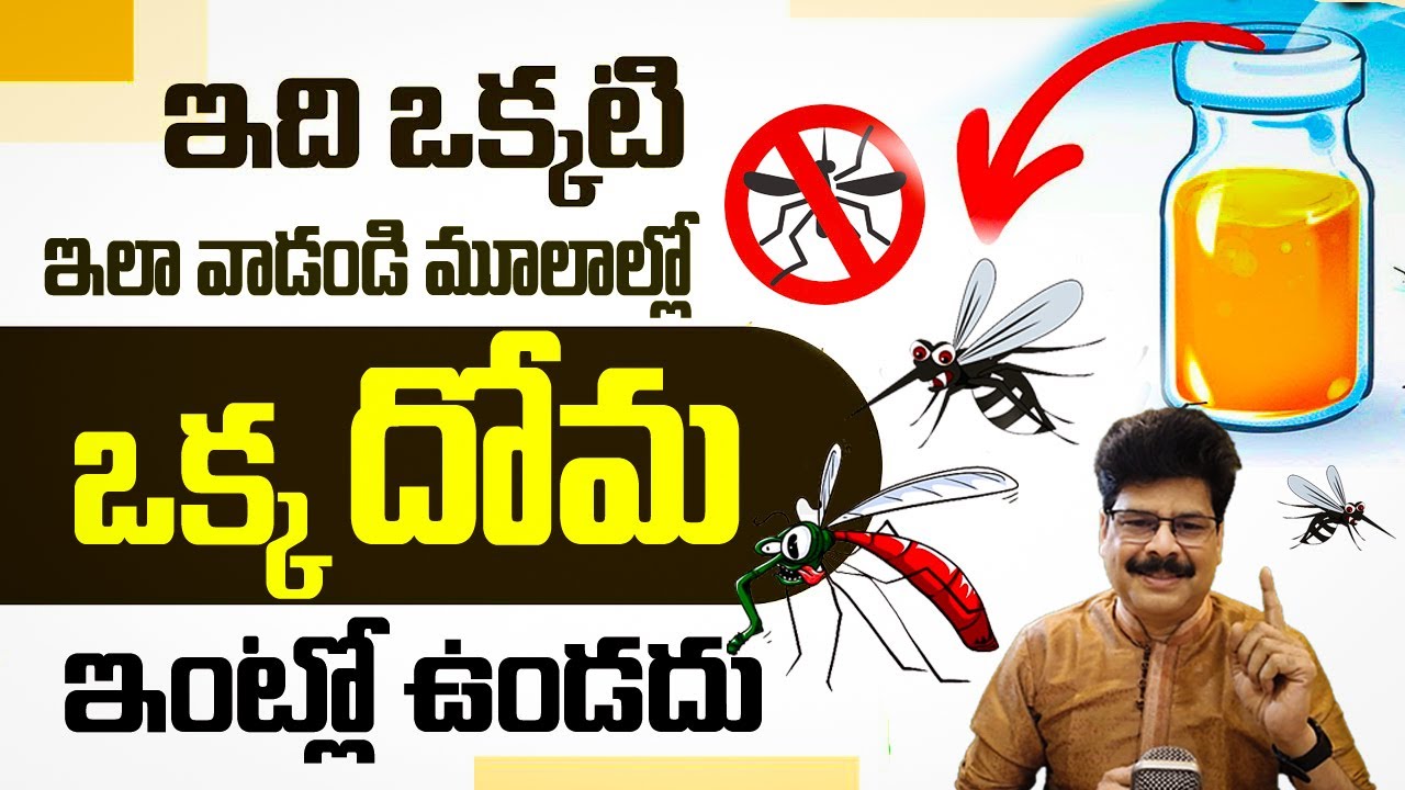 సైంటిఫిక్ ప్రూఫ్ ‌- ‌ఒక్క దోమ మిమ్మలిని కుట్టదు | How To Treat & Avoid Mosquito Bites #mosquito