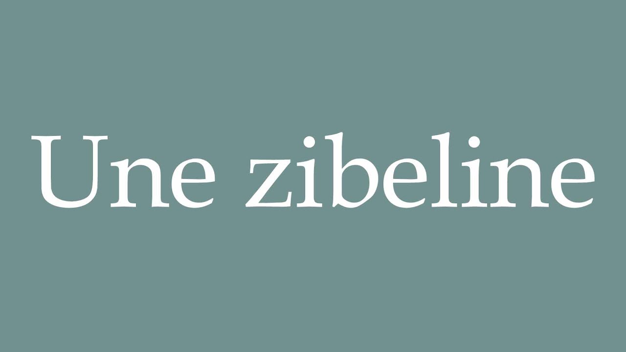 How to Pronounce ''Une zibeline'' (A sable) Correctly in French