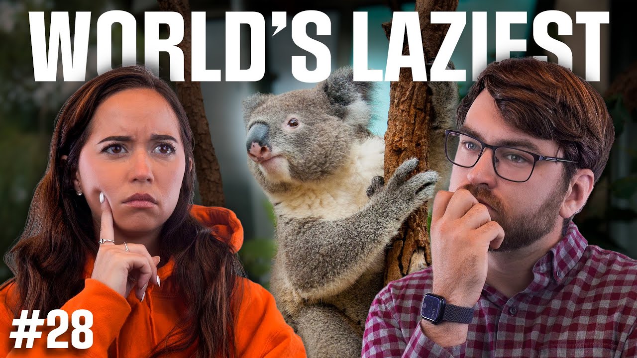 World's Laziest: Why Do Koalas Have Chlamydia?