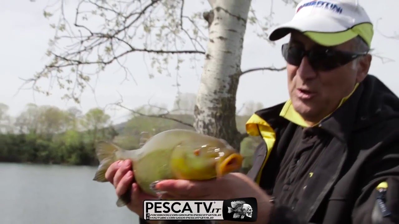 COME PESCARE A FLOATING FEEDER