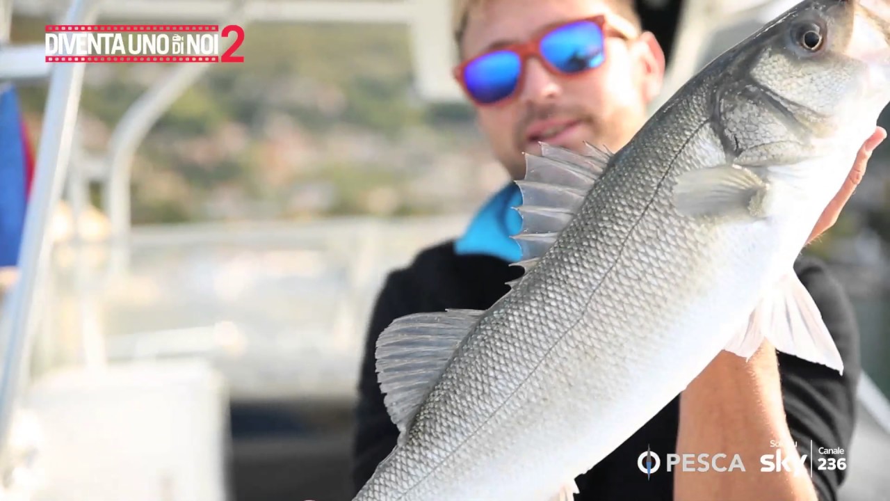 PESCA TV SKY 236: Con Bitti nel Golfo di Trieste - Fabrizio Rosso