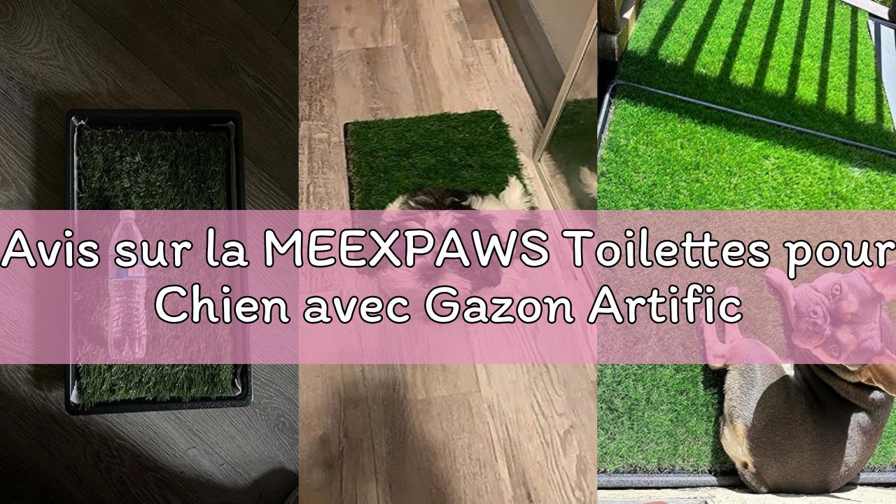 Avis sur la MEEXPAWS Toilettes pour Chien avec Gazon Artificiel, 85×59 cm Bacs à Litières pour Chien