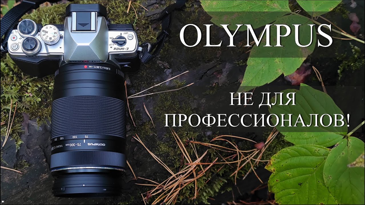 Фотоохота на Olympus OM-D E-M10 Mark II - ролик от камрада Юрия