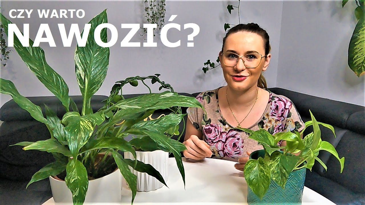 Jak nawozić rośliny?