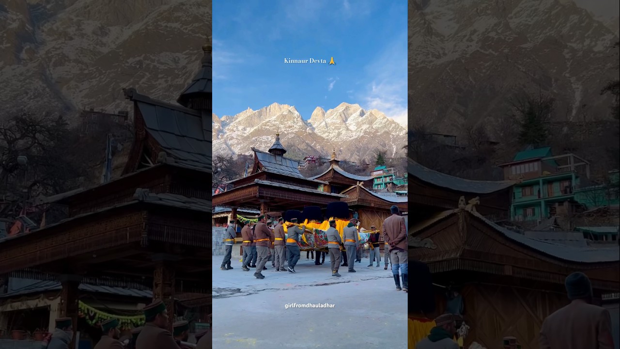 Holi Celebration with Devta Ji ❤️🙏 #shorts #devta #himachal #culture #kinnaur #traditional #shiv