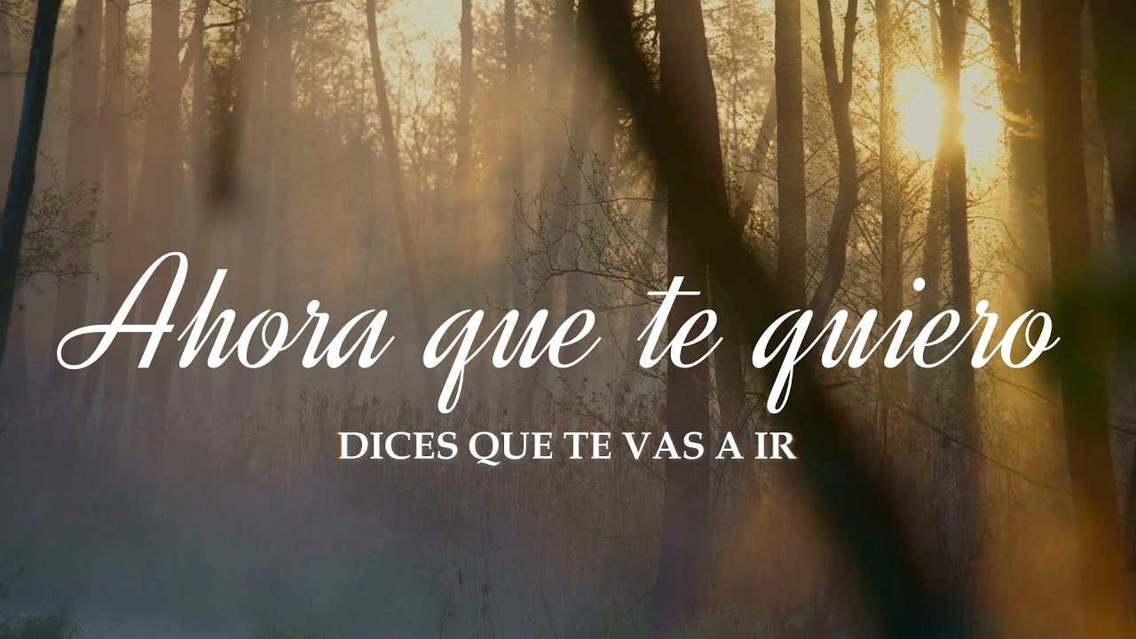 Ahora que te quiero (Bachata) / Roy Hernández