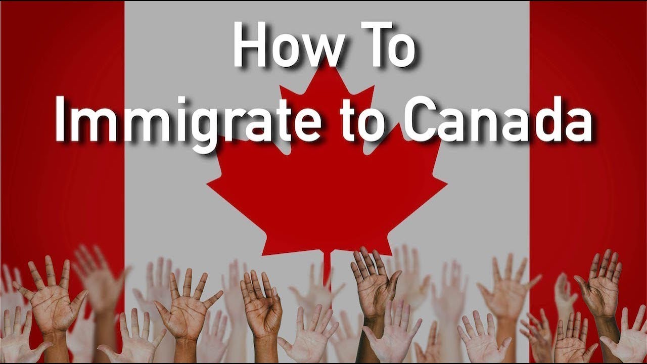 Canada New Immigration Plan 2023 to 2024 | Canada Immigration Process 2023