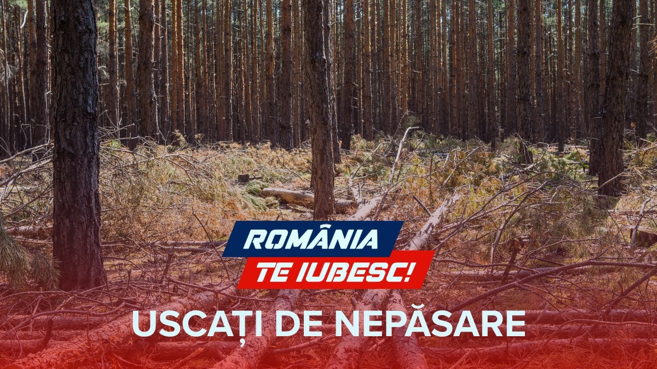 Uscați de nepăsare, un reportaj realizat de echipa România, te iubesc!