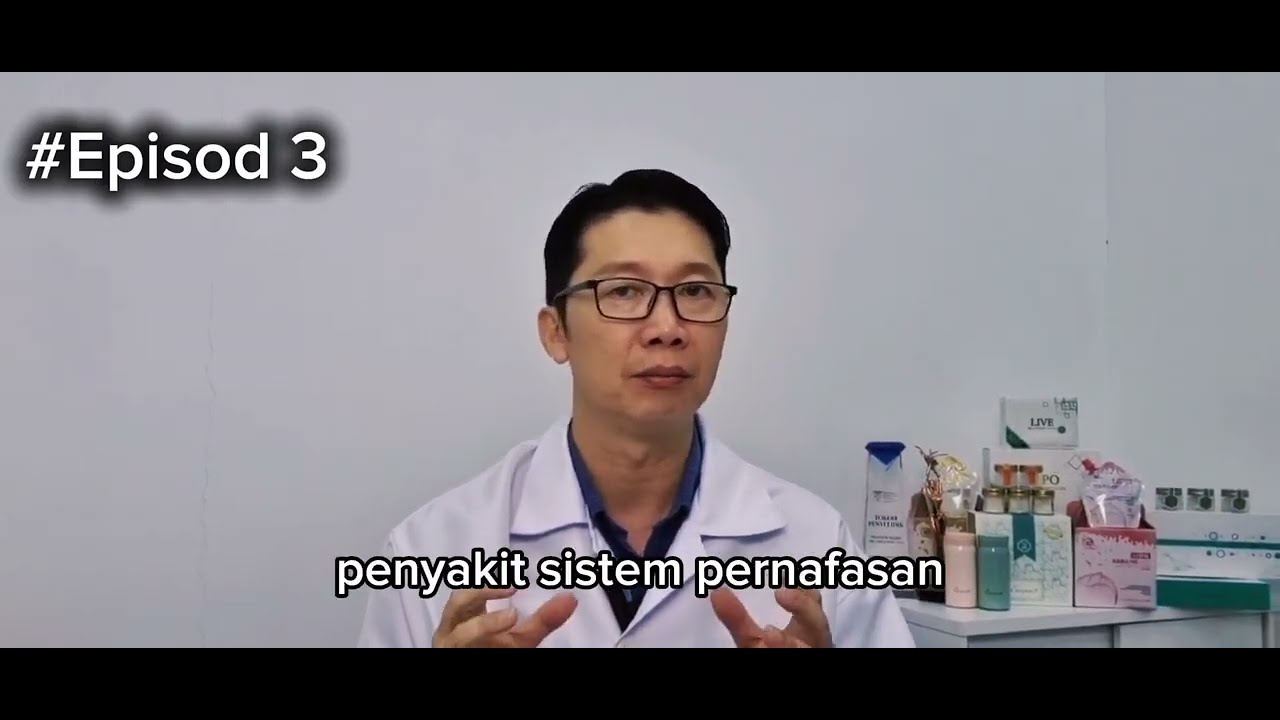 Sarang Burung Walit Ubat Tradisional untuk Batuk Kronik