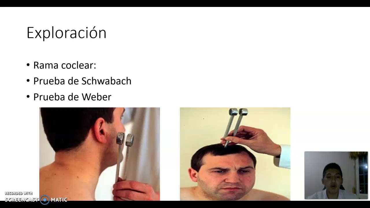 VIII par craneal: nervio auditivo. 5to A