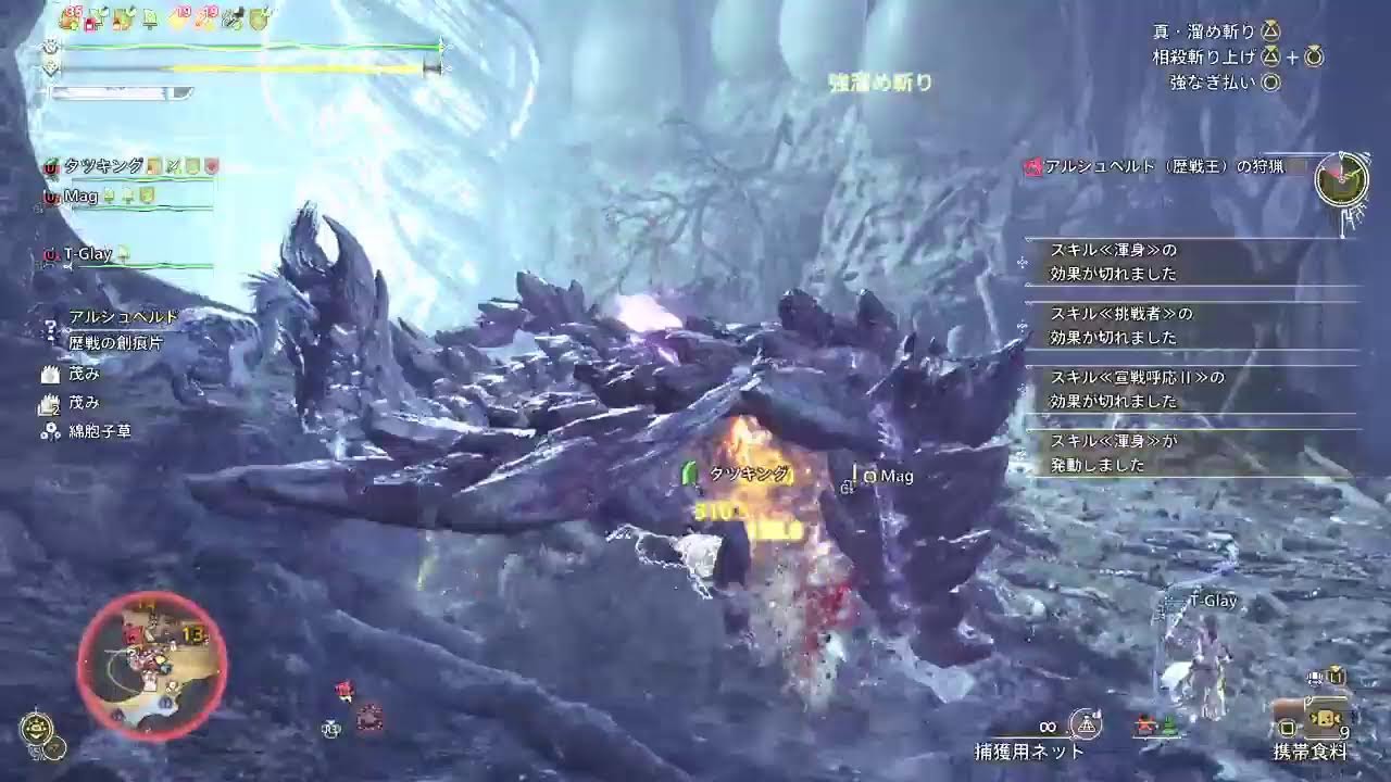 参加自由　モンスターハンターワイルズ　#13
