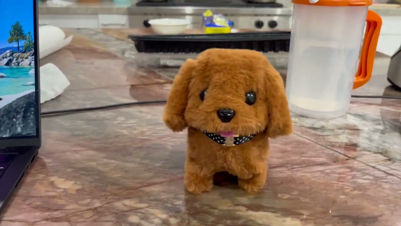 Wuffy Robot Dog Scam Exposed in 25 Seconds