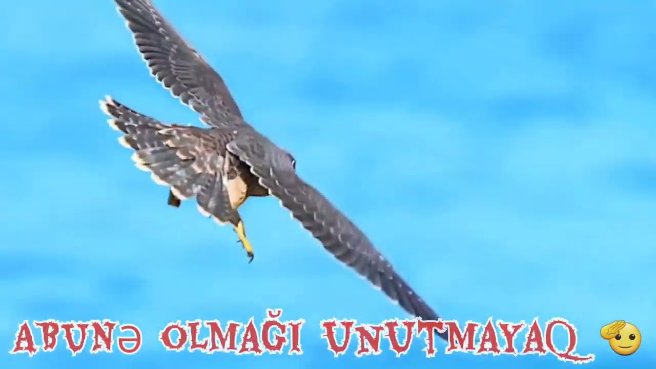 #1ci #hissə: Heydər Babayevlə müzakirə etdiyimiz mövzular / Наша встреча с Гейдаром Бабаевым: Часть1
