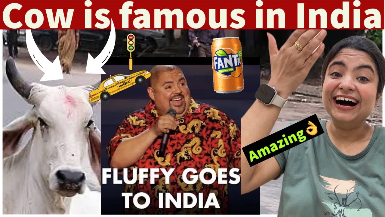 INDIAN Reacts to Fluffy Goes To India |Gabriel Iglesias