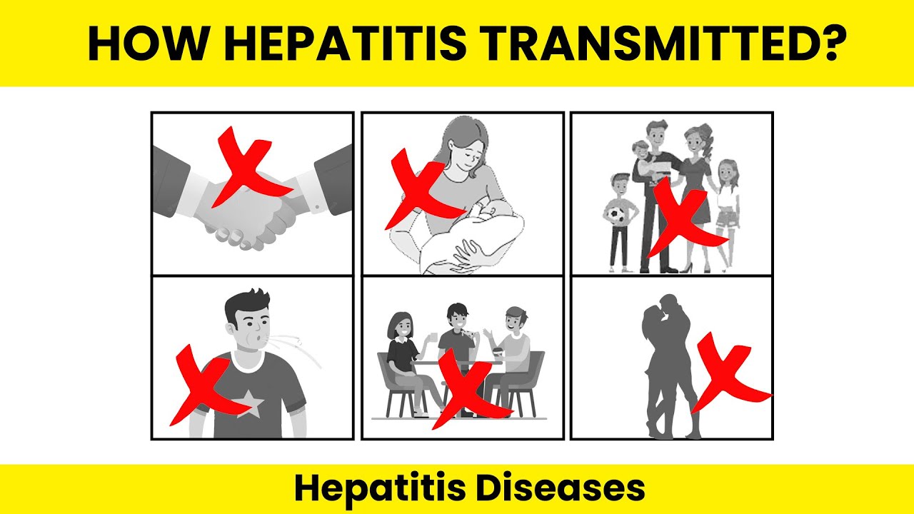 How Hepatitis B Virus is Transmitted | how to transfer hepatitis b