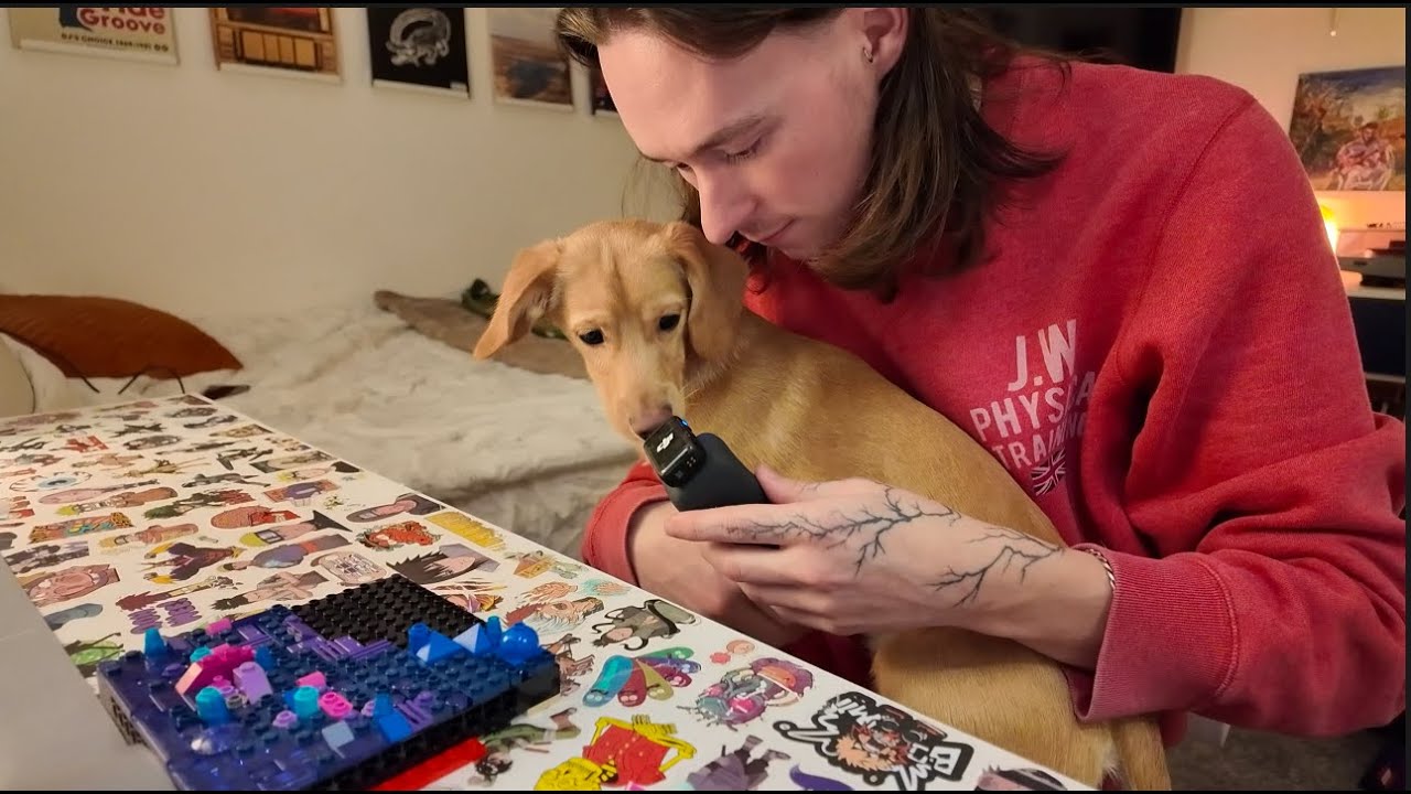 lo-fi asmr lego building ep 2
