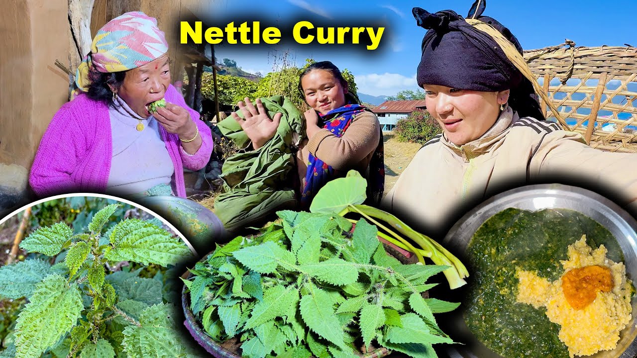 Nettle Curry and Corn Rice (THEPLA) अर्गानिक सिस्नु र मकैको भात थेप्लो खैयो Nepali Traditional food