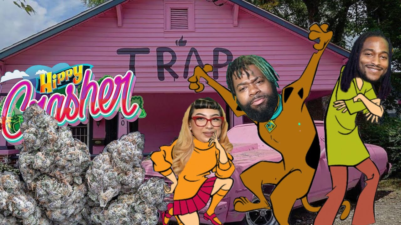 Hippy Crashers Strain Review 🛸🛸🔥🔥🔥🔥