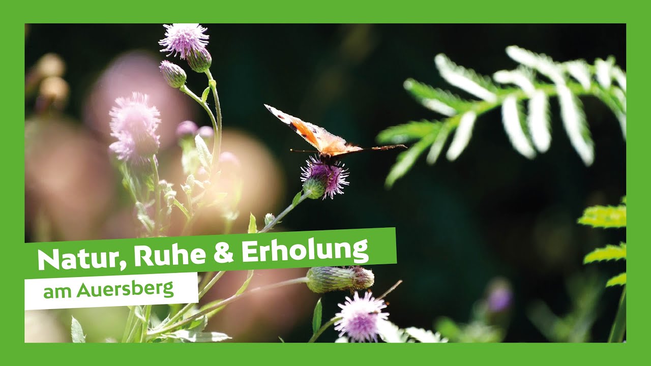 Natur, Ruhe & Erholung am Auersberg