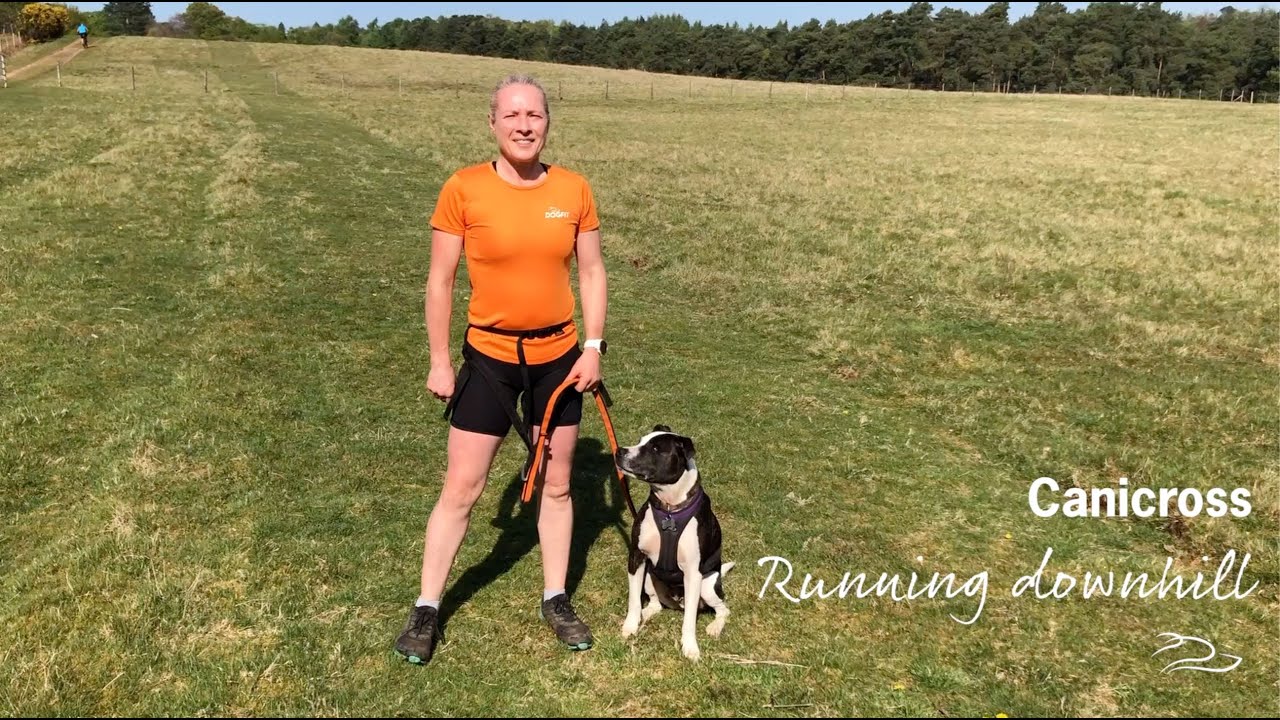 How to Canicross downhill