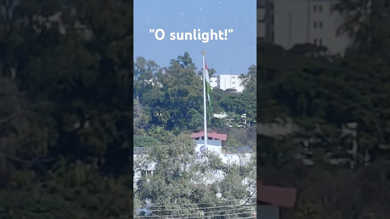 Let sun shine fill day with light | 