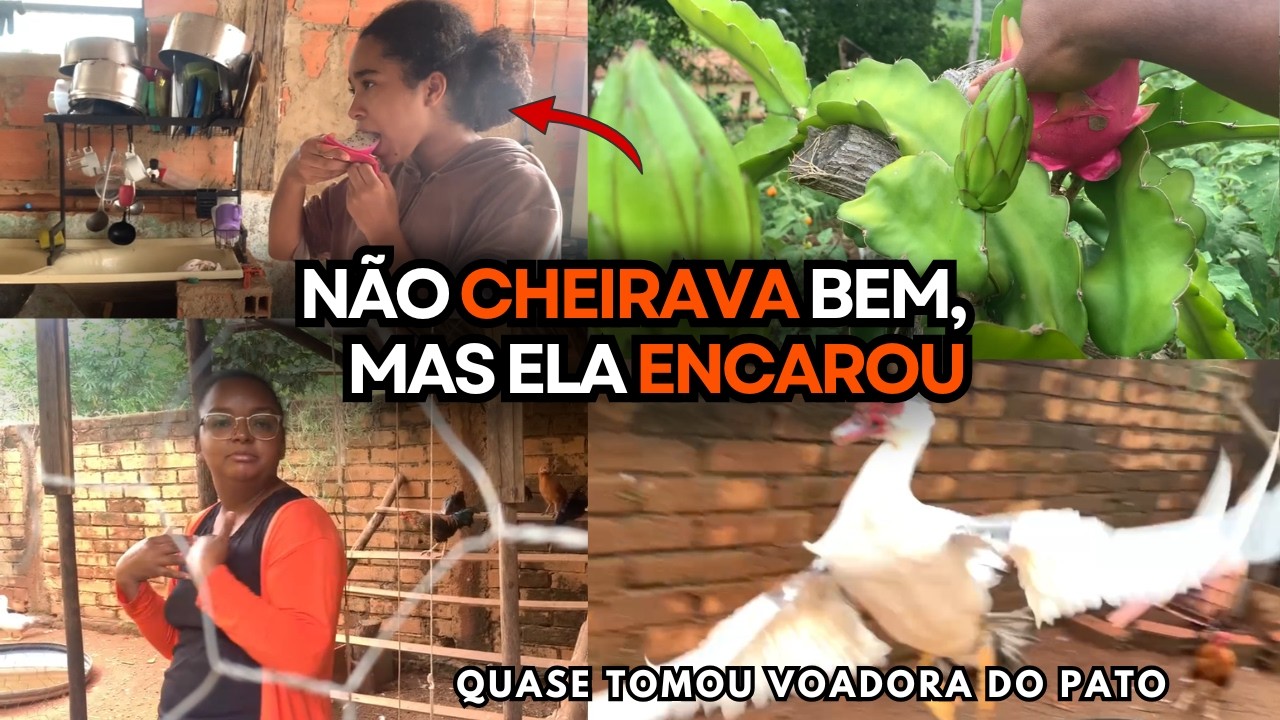 ROTINA DE TRABALHO NA ROÇA! Tratando Galinhas, Colhendo Ovos, Geral no Chiqueiro e a Primeira Pitaya
