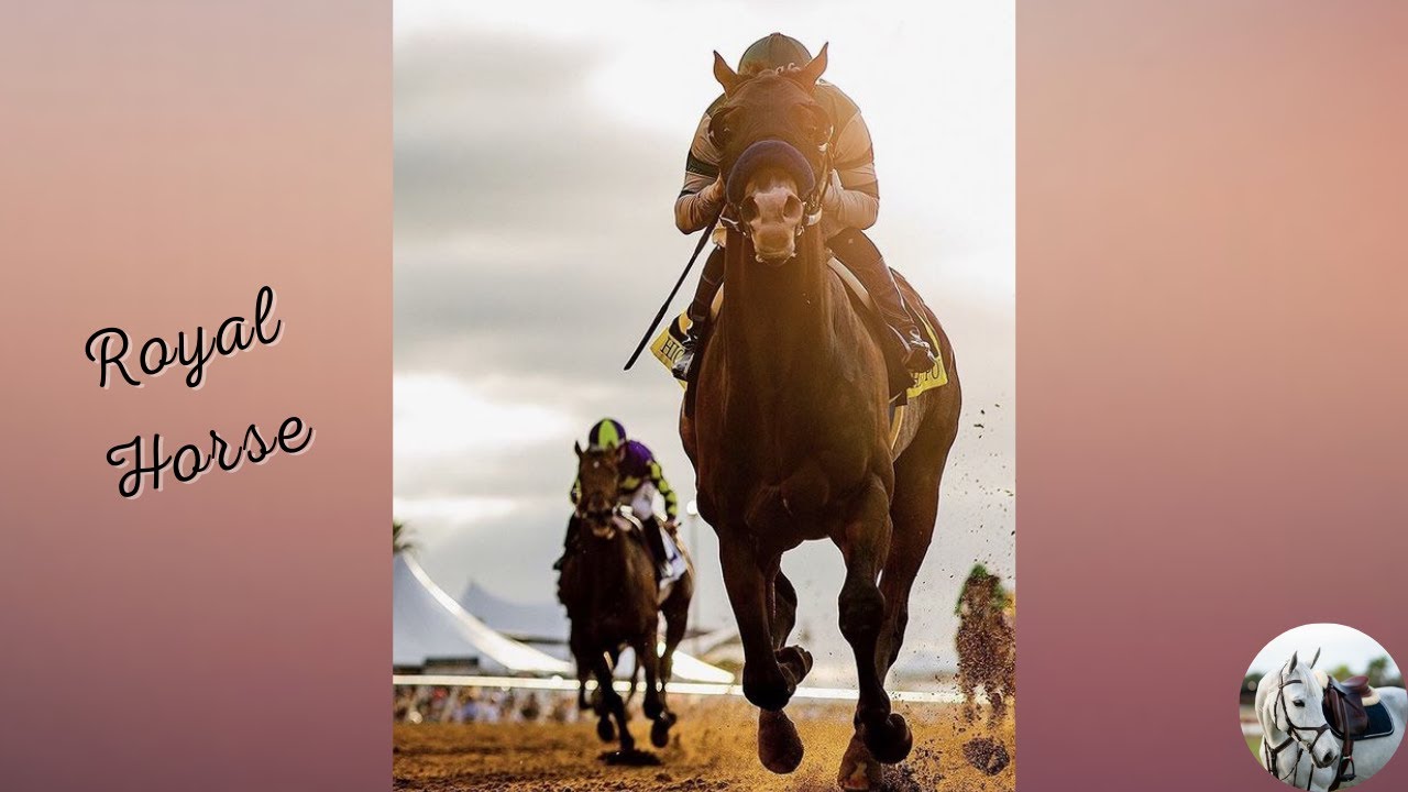 This is Not a Christmas // Horse Racing Music video