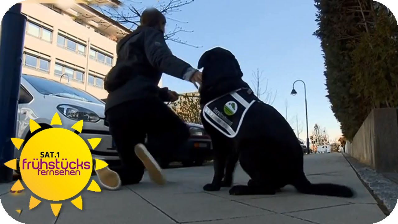 Neuer tierischer Helfer für Autistin Ina | SAT.1 Frühstücksfernsehen