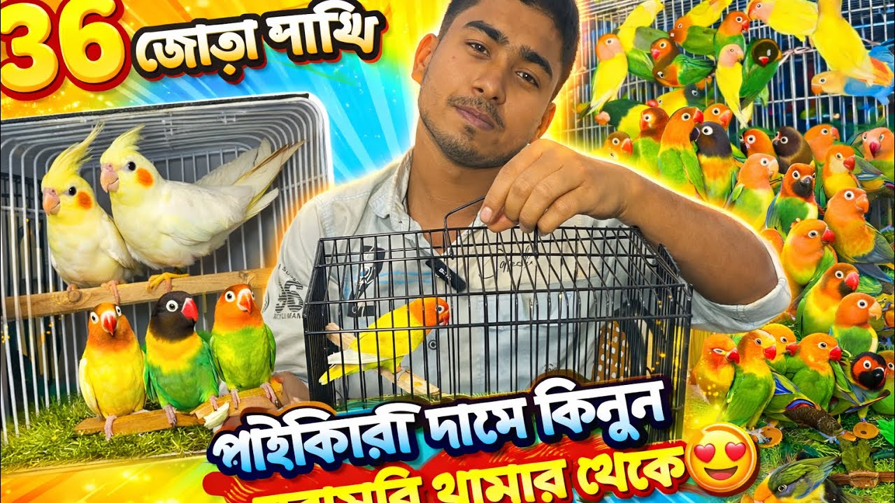সরাসরি খামার থেকে লাভবার্ডস কোকাটেল পাখি কিনুন 😍 Birds Price in 2026 || পাখির দাম।Tushar Aviary