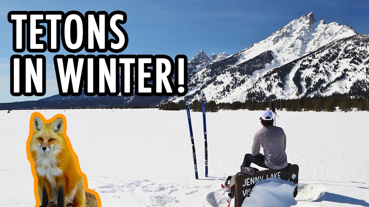 Grand Teton National Park in Winter (TONS of Wildlife!) &ndash; Car Camping Adventures