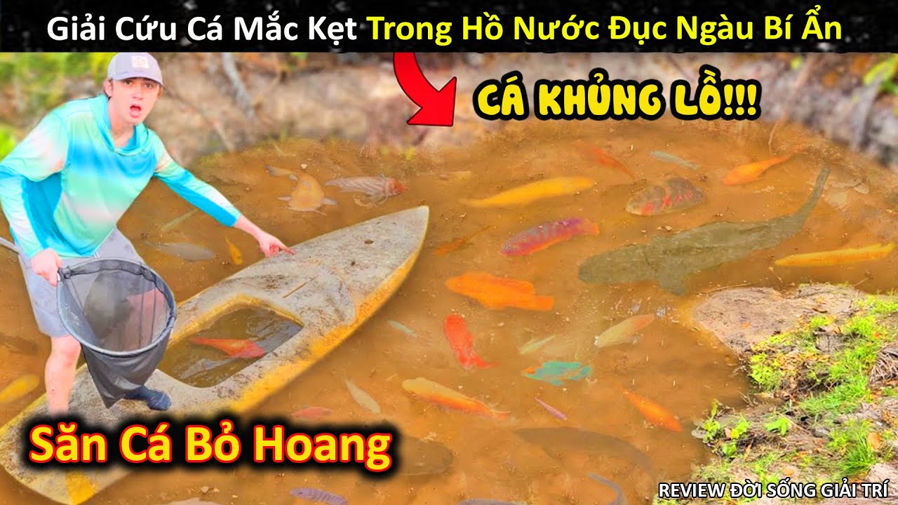 Săn Cá Mắc Kẹt Trong Hồ Nước Bỏ Hoang Đục Ngàu Đầy Bí Ẩn Và Cái Kết || Review Giải Trí Đời Sống