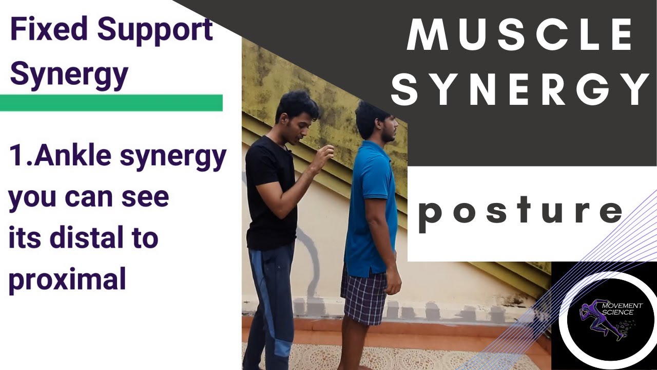 MUSCLE SYNERGIES (Posture Biomechanics)Physiotherapy Tutorial