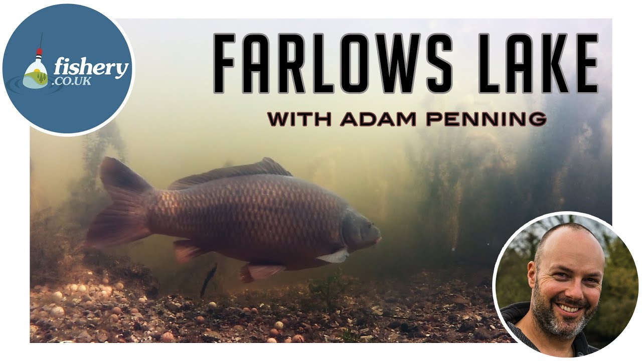 Fishery - Farlows Lake with Adam Penning