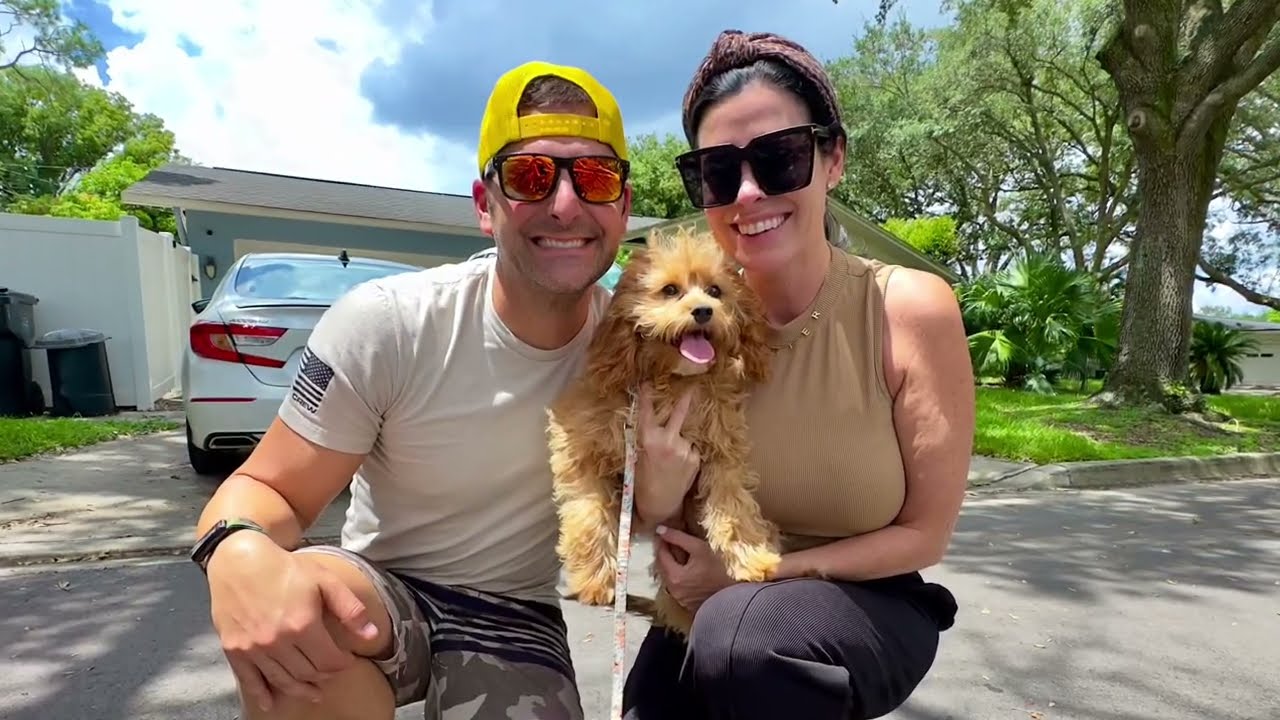 Terrified, 5 Month Old, Cavapoo Puppy Transformed In 2 Weeks