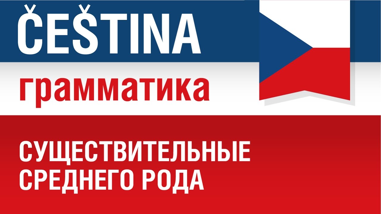 Существительные среднего рода. Чешский язык. Елена Шипилова.