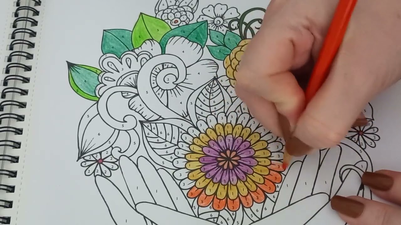 Brain Games Color by Number Stress-Free Coloring Book 26