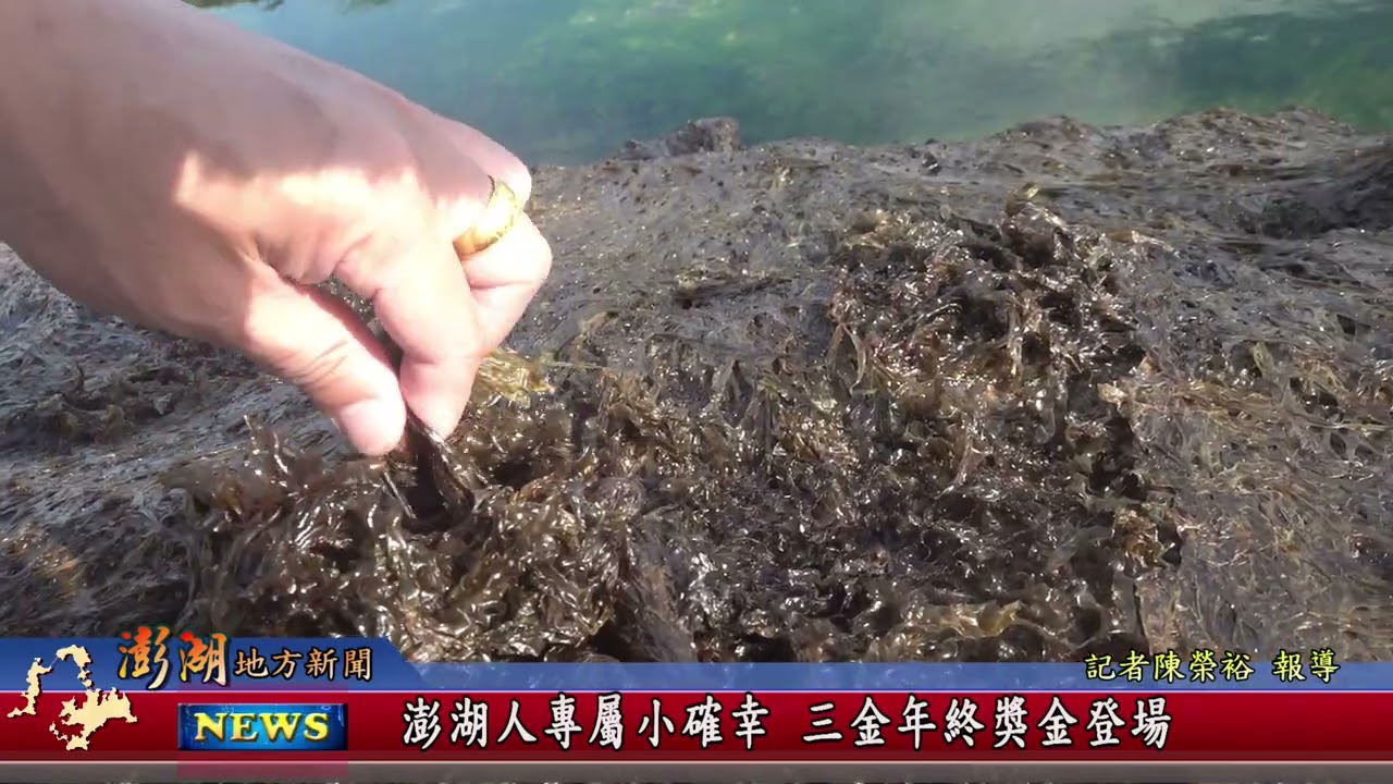 115.2.3地方新聞：澎湖人專屬小確幸 三金年終獎金登場