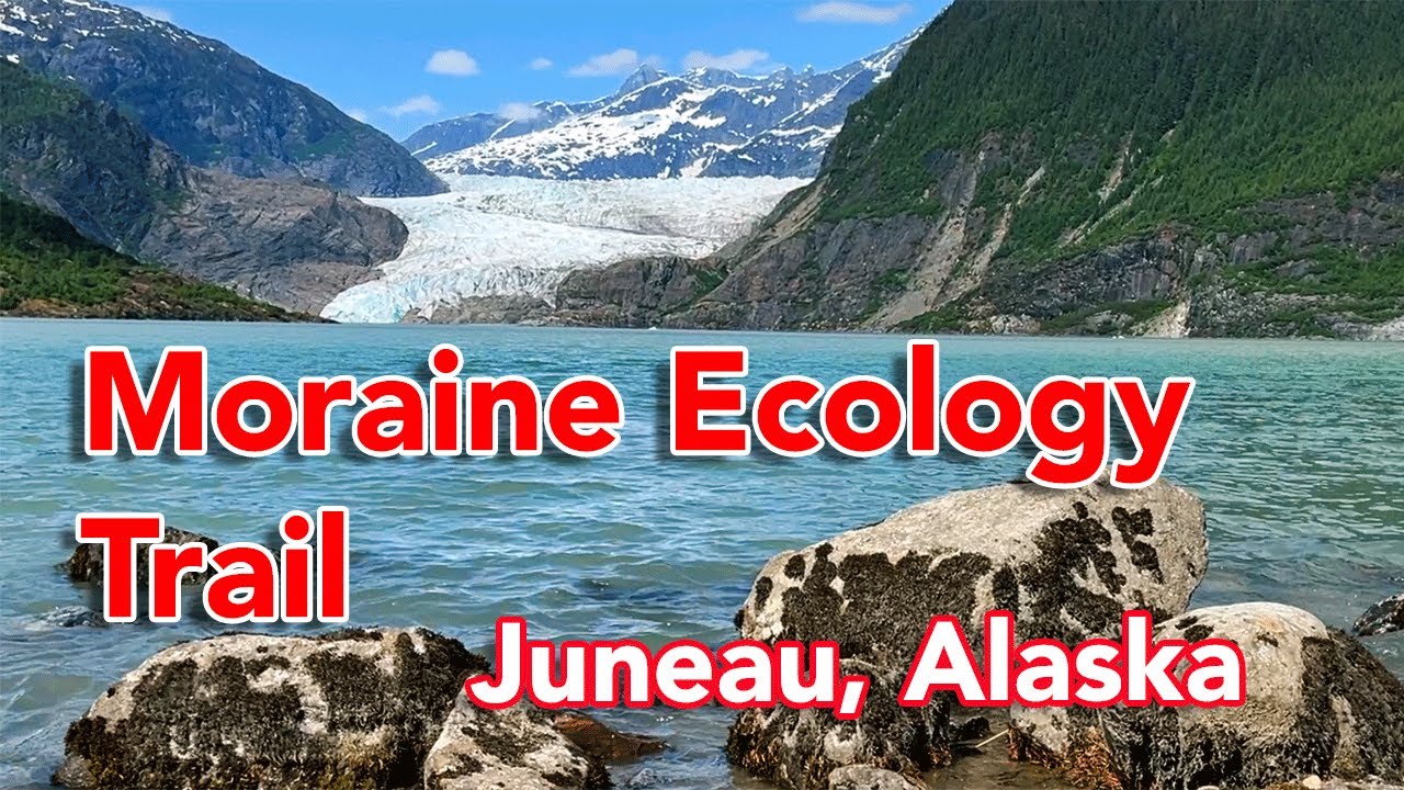 Moraine Ecology Trail Explore- Juneau, Alaska