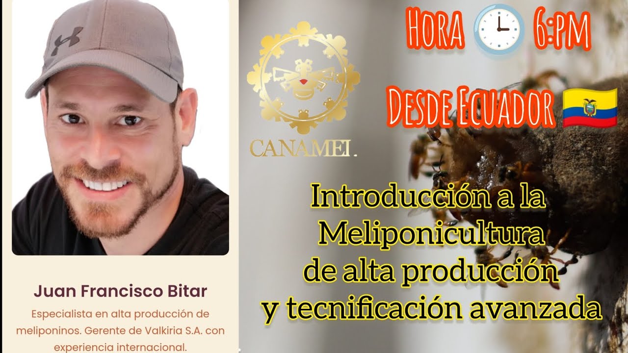 MELIPONICULTURA TECNIFICADA