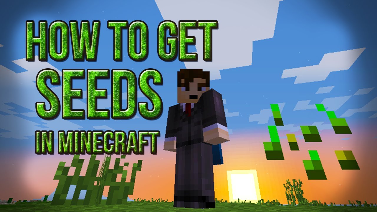 How To Get Seeds In Minecraft