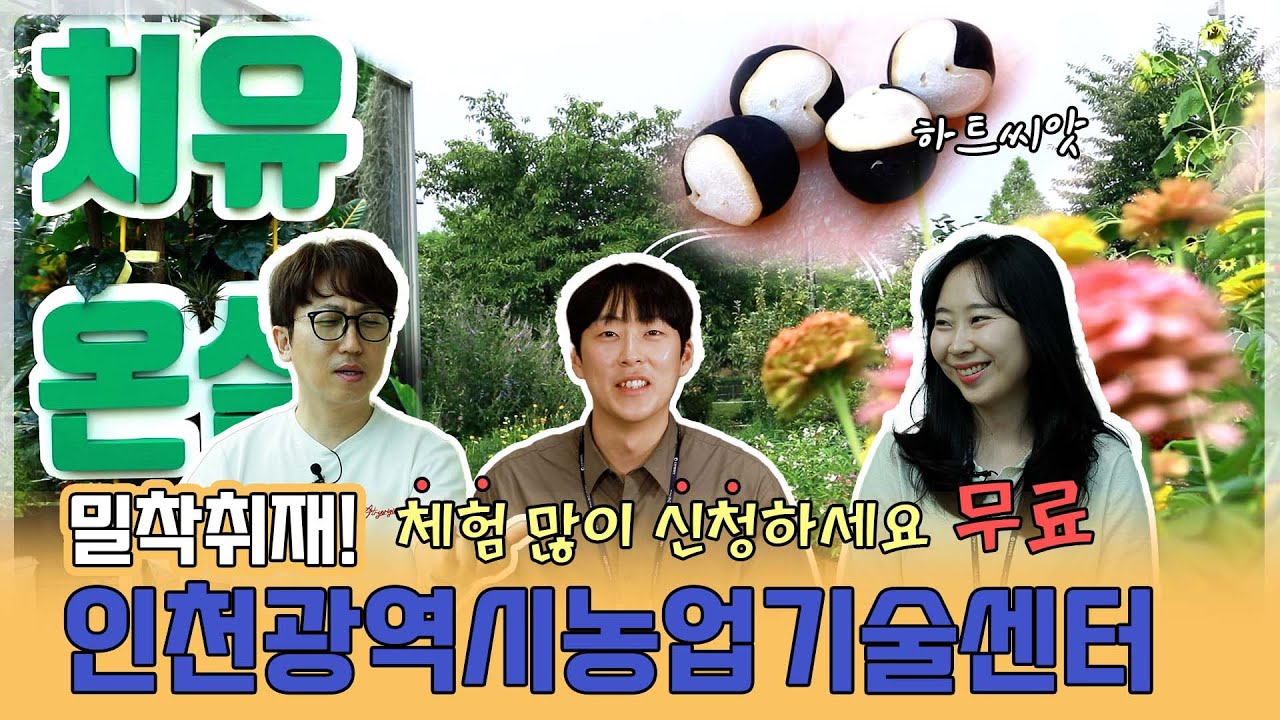 [밀착취재] 체험 많이 신청하세요 인천광역시농업기술센터