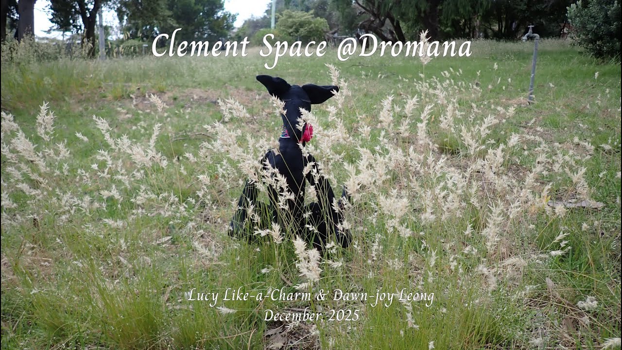 Clement Space @Dromana, December 2025 by Lucy Like-a-Charm & Dawn-joy Leong