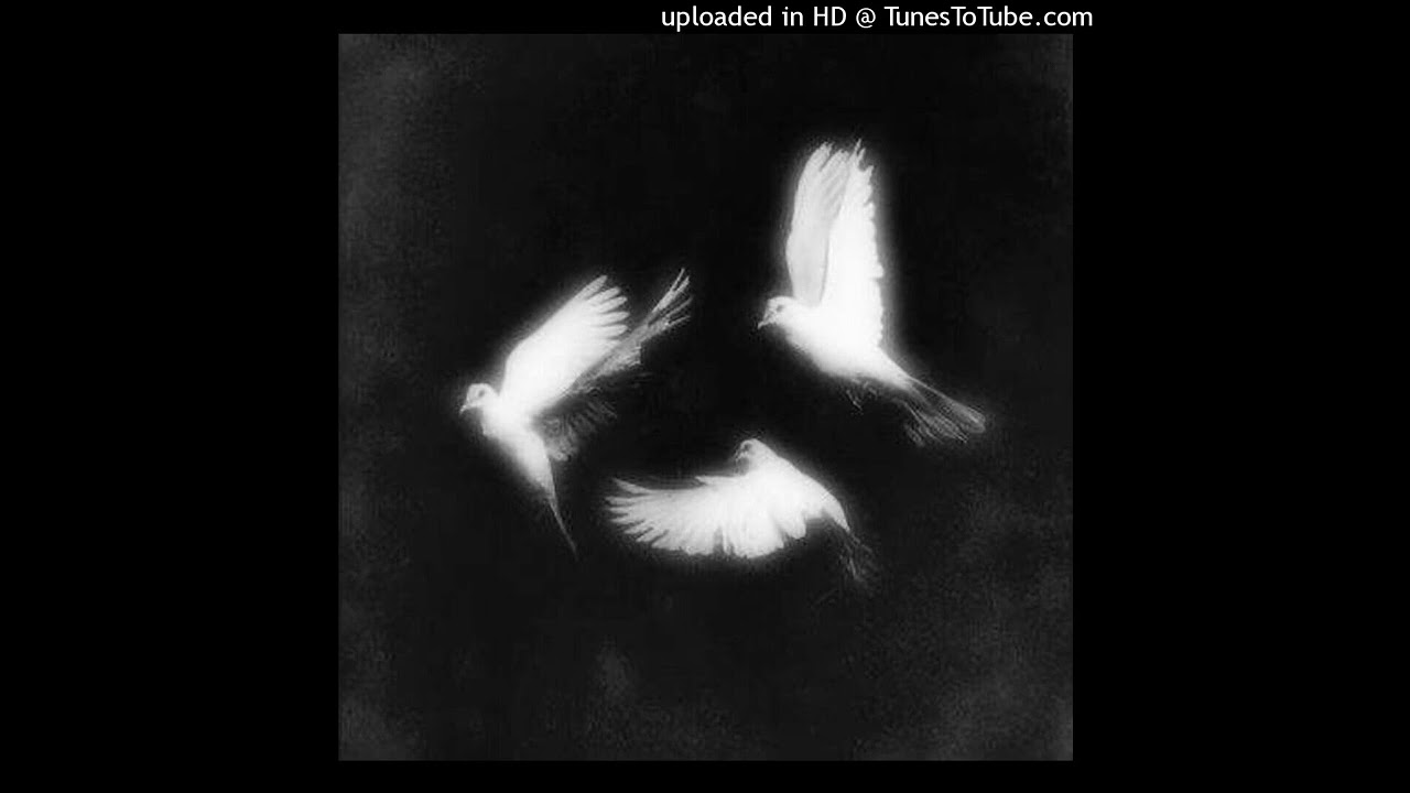 Title Fight - Safe In Your Skin - Where Am I [-25% slowed + 432hz]